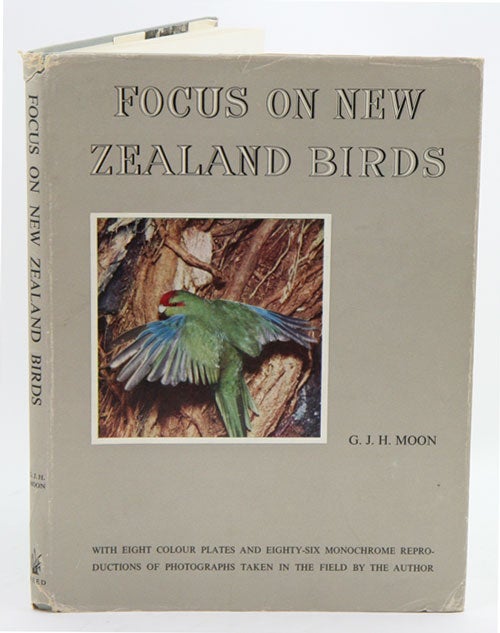 Stock ID 13296 Focus on New Zealand birds. G. J. H. Moon.