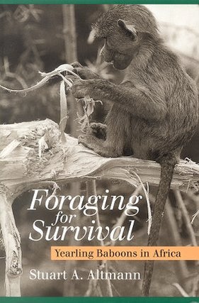 Stock ID 13306 Foraging for survival: yearling baboons in Africa. Stuart A. Altmann