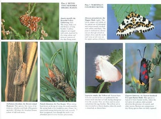 The natural history of moths.