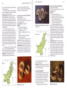 Amphibians and reptiles of Pakistan.