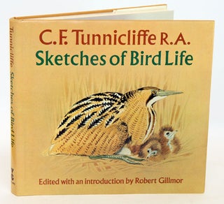 Stock ID 1337 Sketches of bird life. C. F. Tunnicliffe