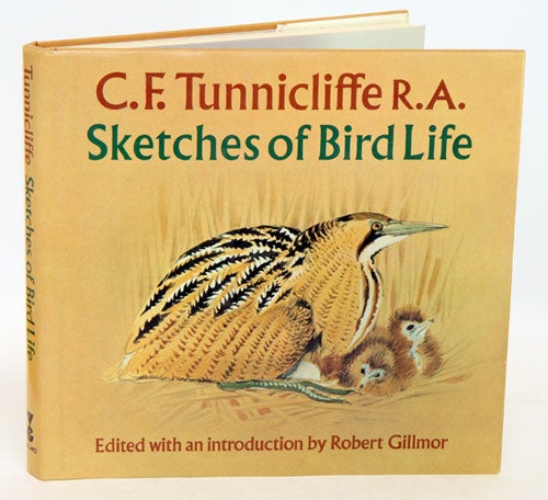 Stock ID 1337 Sketches of bird life. C. F. Tunnicliffe.
