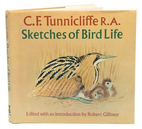 Stock ID 1339 C. F. Tunnicliffe: sketches of bird life. Gillmor.