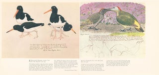 C. F. Tunnicliffe: sketches of bird life.