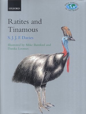 Stock ID 13412 Ratites and Tinamous: Tinamidae, Rheidea, Dromaiidae, Casuariidae, Apterygidae,...