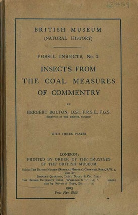 Stock ID 13469 Insects from the coal measures of Commentry. Herbert Bolton