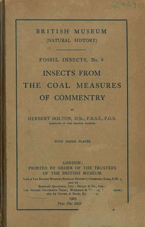 Stock ID 13469 Insects from the coal measures of Commentry. Herbert Bolton.