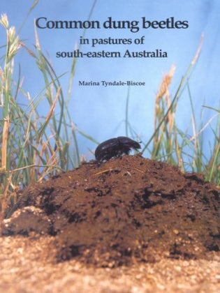 Common dung beetles in pastures of south-eastern Australia. Marina Tyndale-Biscoe.