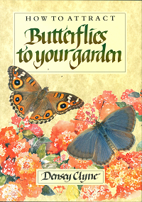 Stock ID 13625 How to attract butterflies to your garden. Densey Clyne.