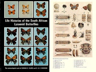 Life histories of the South African Lycaenid butterflies.