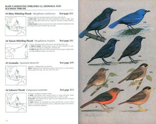 Thrushes.