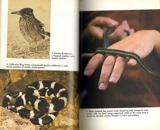 Garter snakes: their natural history and care in captivity.