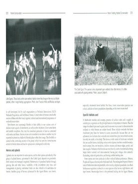 Heron conservation.
