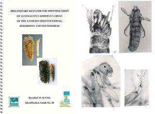 Preliminary keys for the identification of Australian caddisfly larvae of the families Odontoceridae, Kokiriidae and Oeconesidae.