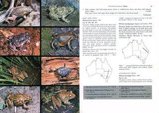 Reptiles and amphibians of Australia.