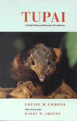 Stock ID 14096 Tupai: a field study of Bornean Treeshrews. Louise H. Emmons