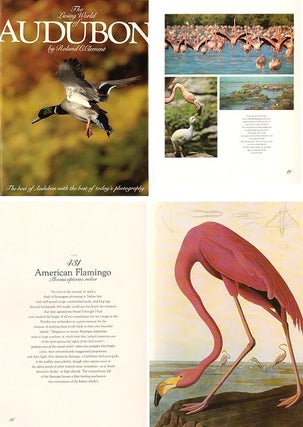 The living world of Audubon.