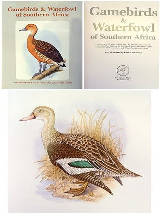 Gamebirds and waterfowl of southern Africa: a collection of 68 water-colours by C. G. Finch-Davies, originally commissioned to illustrate Lt.-Col. Boyd Robert Horsbrugh's 1912 volume The Game-Birds and Water-Fowl of South Africa.