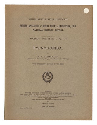 Stock ID 14488 British Antarctic ("Terra Nova") Expedition, 1910. Pycnogonida. W. T. Calman