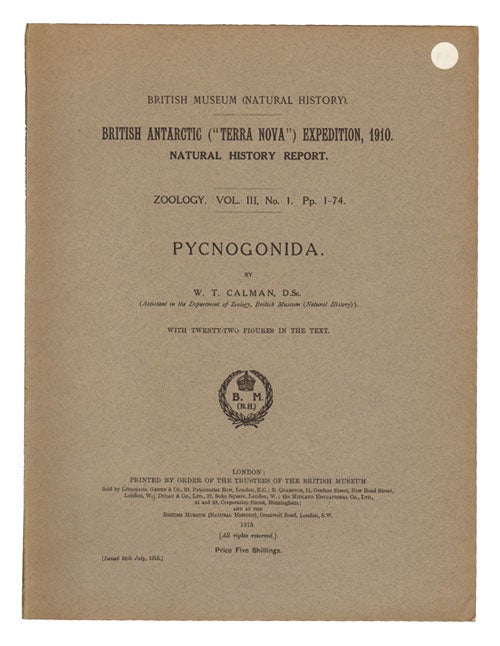 Stock ID 14488 British Antarctic ("Terra Nova") Expedition, 1910. Pycnogonida. W. T. Calman.