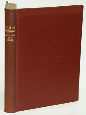 Stock ID 14534 Papers from the Hopkins-Stanford Galapagos expedition, 1898-1899, [volume...