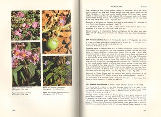 Stock ID 1485 Flora of Australia, volume 29. Solanaceae
