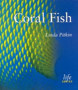 Stock ID 15196 Coral Fish. Linda Pitkin