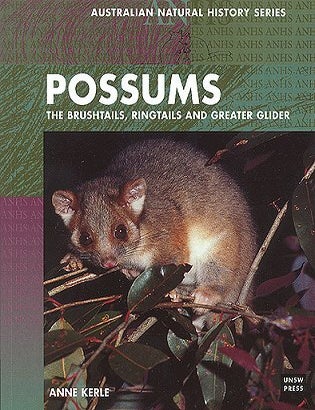 Stock ID 15198 Possums: brushtails, ringtails and the greater glider. Anne Kerle.