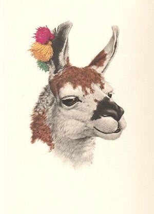 Studies of birds and mammals of South America: with descriptive text by Helmut Sick and an introduction by Sir Solly Zuckerman.
