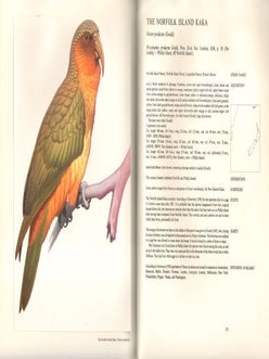 Australian parrots.