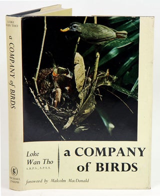 Stock ID 15315 A company of birds. Wan Tho Loke