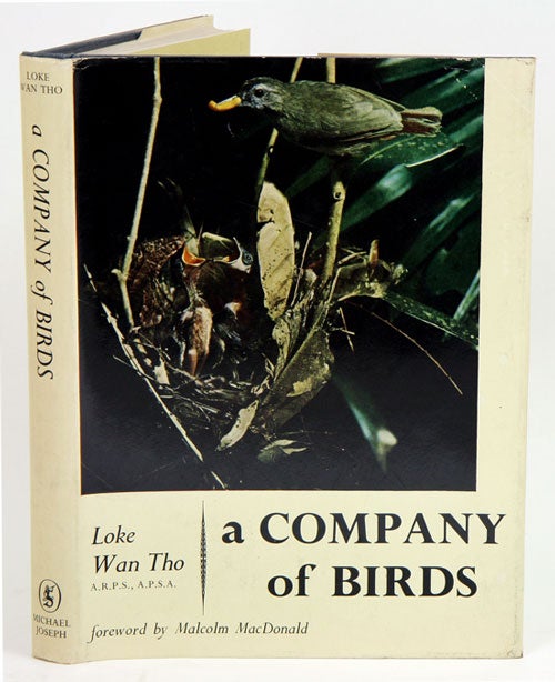 Stock ID 15315 A company of birds. Wan Tho Loke.