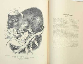 The mammals of Australia, illustrated by Miss Harriett Scott and Mrs. Helena Forde, for the Council of Education.