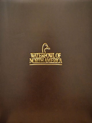 Stock ID 15387 Waterfowl of North America