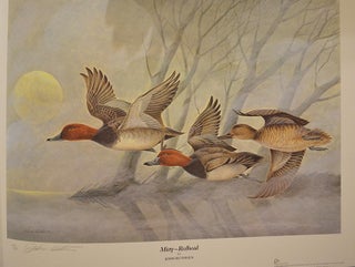 Waterfowl of North America.