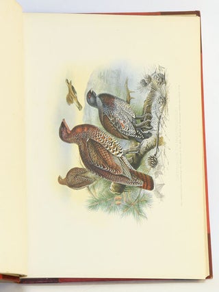 Game birds and shooting-sketches: illustrating the habits, modes of capture, stages of plumage, and the hybrids and varieties which occur amongst them.