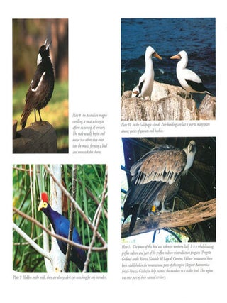 Birds: their habits and skills.