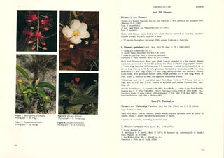 Flora of Australia, volume eight. Lecythidales to Batales.