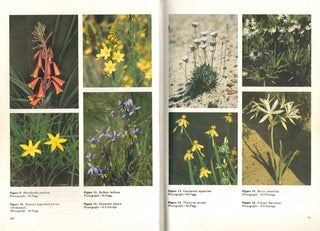Flora of Australia, volume 45. Hydatellaceae to Liliaceae.