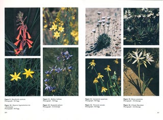 Flora of Australia, volume 45: Hydatellaceae to Liliaceae.