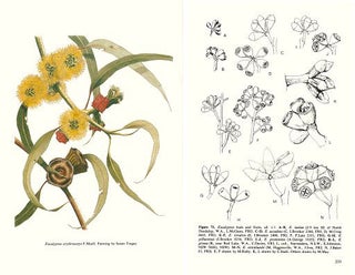 Flora of Australia, volume 19. Myrtaceae: Eucalyptus, Angophora.