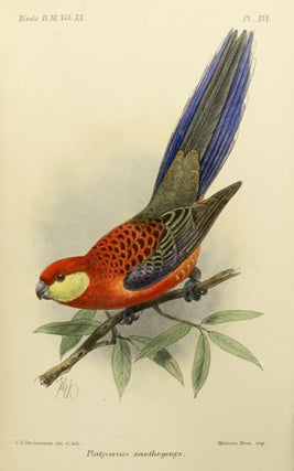 Catalogue of the Psittaci, or parrots in the collection of the British Museum.