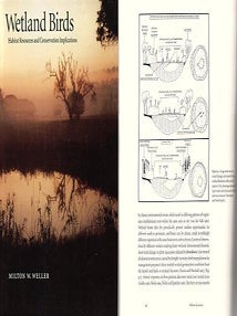 Stock ID 15889 Wetland birds: habitat, resources and conservation implications. Milton W. Weller