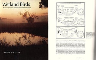 Stock ID 15889 Wetland birds: habitat, resources and conservation implications. Milton W. Weller