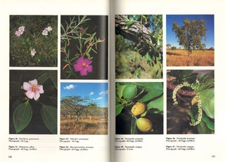 Flora of Australia, volume 18. Podostemaceae to Combretaceae.