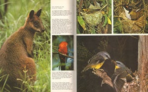 Australia's south east: a natural history of Australia, [volume] two.