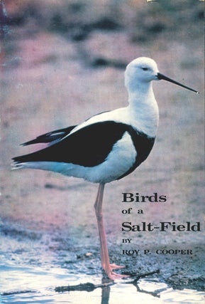 Stock ID 16389 Birds of a salt-field. Roy P. Cooper