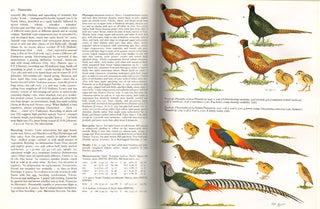 Handbook of the birds of Europe, the Middle East and North Africa. The birds of the Western Palearctic [BWP], volume two: Hawks to bustards.