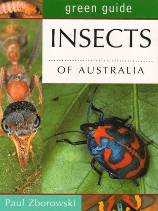 Stock ID 16481 Green guide to insects of Australia. Paul Zborowski