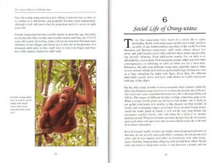 The natural history of Orang-utan.